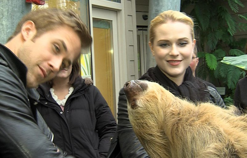 Illustration for article titled Ryan Gosling Plays With Adorable Animals In Continued Effort To Fuck With Us